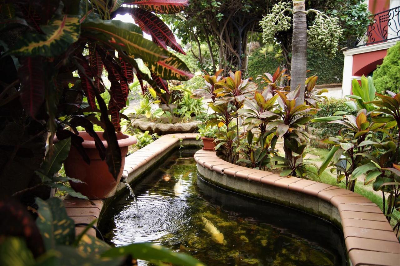 Los Altos Apartments & Studios Managua Zewnętrze zdjęcie