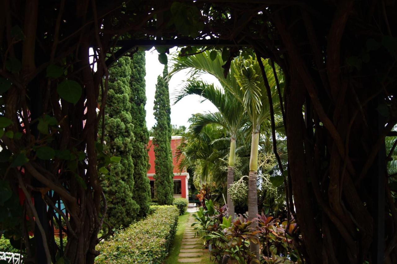 Los Altos Apartments & Studios Managua Zewnętrze zdjęcie